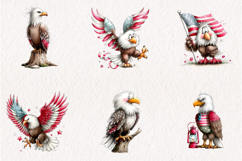 Patriotic American Eagle Clipart Product Image 2