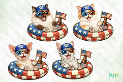 Patriotic Cat Collection PNG Product Image 1