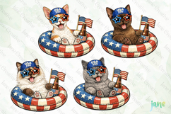 Patriotic Cat Collection PNG Product Image 1