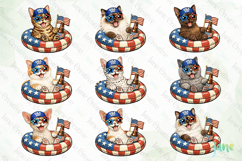 Patriotic Cat Collection PNG Bundle Product Image 2