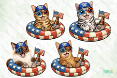 Patriotic Cat Collection PNG Product Image 1