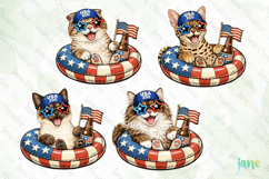 Patriotic Cat Collection PNG Product Image 1