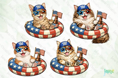 Patriotic Cat Collection PNG Product Image 1