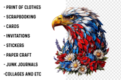 Brushstroke Patriotic Eagle PNG Product Image 2