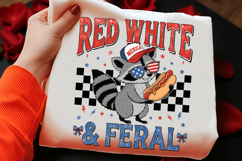 Patriotic Funny Raccoon 4th of July PNG Product Image 2