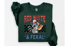 Patriotic Funny Raccoon 4th of July PNG Product Image 3
