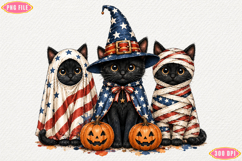 Patriotic Halloween Cat PNG Product Image 1