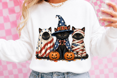 Patriotic Halloween Cat PNG Product Image 3