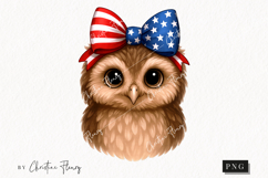 Cute Patriotic Owl PNG | 4th Of July PNG Product Image 1