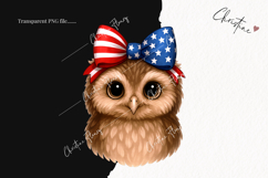 Cute Patriotic Owl PNG | 4th Of July PNG Product Image 2