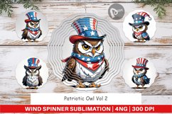 Wind Spinner Patriotic Owl Product Image 1