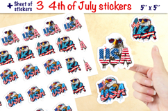 USA patriotic stickers, Bald eagle, graffiti letters PNG Product Image 1