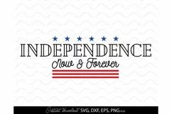 4th Of July SVG, America SVG, Patriotic SVG, Fourth Of July Product Image 2