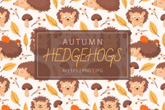 Autumn Hedgehogs | Seamless Pattern Product Image 1