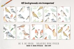 Christmas Bird Patterns Christmas Watercolor Seamless Product Image 2