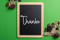 Pauline Script Product Image 8