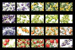 45 Fresh Fruit Patterns Product Image 2