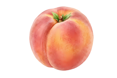 Peach Fruit Png| Fruit Png Product Image 1