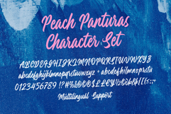 Peach Panturas Expressive Handwritten Script Product Image 10