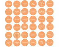peach us cities and destinations instagram icons