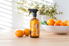 Peachy Tea Stencil Script Product Image 5