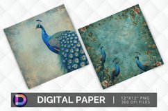 Peacock Beauty Digital Paper Product Image 1