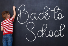 Peanut Product Image 4