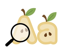 Pear Color Font Product Image 7