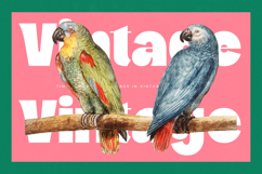 Pearl Mirage - Modern Display Font Product Image 6