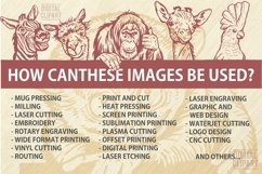 Peeking chameleon - Funny Peeking Animals SVG Vector File Product Image 2