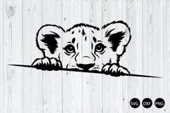 Peeking Baby Lion SVG, Lion SVG, Animal SVG Product Image 1