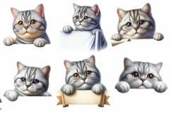 Peeking Cat Clipart Bundle Product Image 2