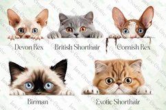 Peeking Cats Sublimation Clipart Product Image 2