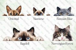 Peeking Cats Sublimation Clipart Product Image 3