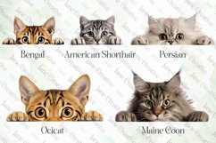 Peeking Cats Sublimation Clipart Product Image 5