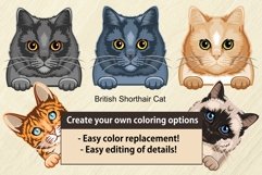 Maine Coon Cat Color SVG, cat svg, cat Clip Art SVG Product Image 2