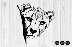 Peeking Cheetah SVG, Cheetah SVG, Animal SVG Product Image 1