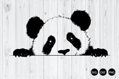 Peeking Cute Panda SVG, Panda SVG, Animal SVG Product Image 1