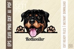 Rottweiler Peeking Dog Color, SVG Color Pet Vector Portrait Product Image 1