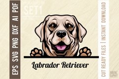 Labrador Retriever - Peeking Dog Color SVG Pet Portrait Product Image 1
