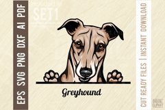 Greyhound - Peeking Dog Color SVG Pet Vector Portrait Product Image 1