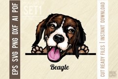 Beagle Peeking Dog Color, SVG Color Pet Vector Portrait Product Image 1