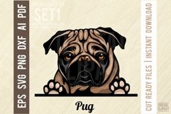 Pug Peeking Dog Color, SVG Color Pet Vector Portrait Product Image 1