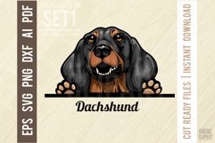 Dachshund - Peeking Dog Color SVG Pet Vector Portrait Product Image 1