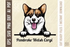 Pembroke Welsh Corgi - Peeking Dog Color SVG Pet Product Image 1