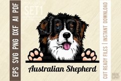 Australian Shepherd - Peeking Dog Color SVG Pet Portrait Product Image 1