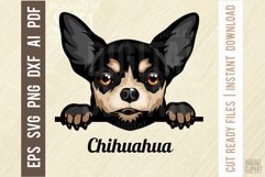 Chihuahua - Peeking Dog Color SVG Pet Vector Portrait Product Image 1