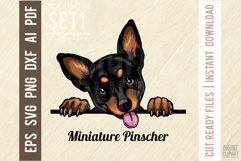 Miniature Pinscher - Peeking Dog Color SVG Pet Portrait Product Image 1