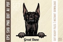 Great Dane - Peeking Dog Color SVG Pet Vector Portrait Product Image 1