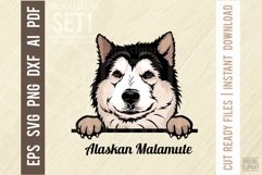 Alaskan Malamute - Peeking Dog Color SVG Pet Vector Portrait Product Image 1